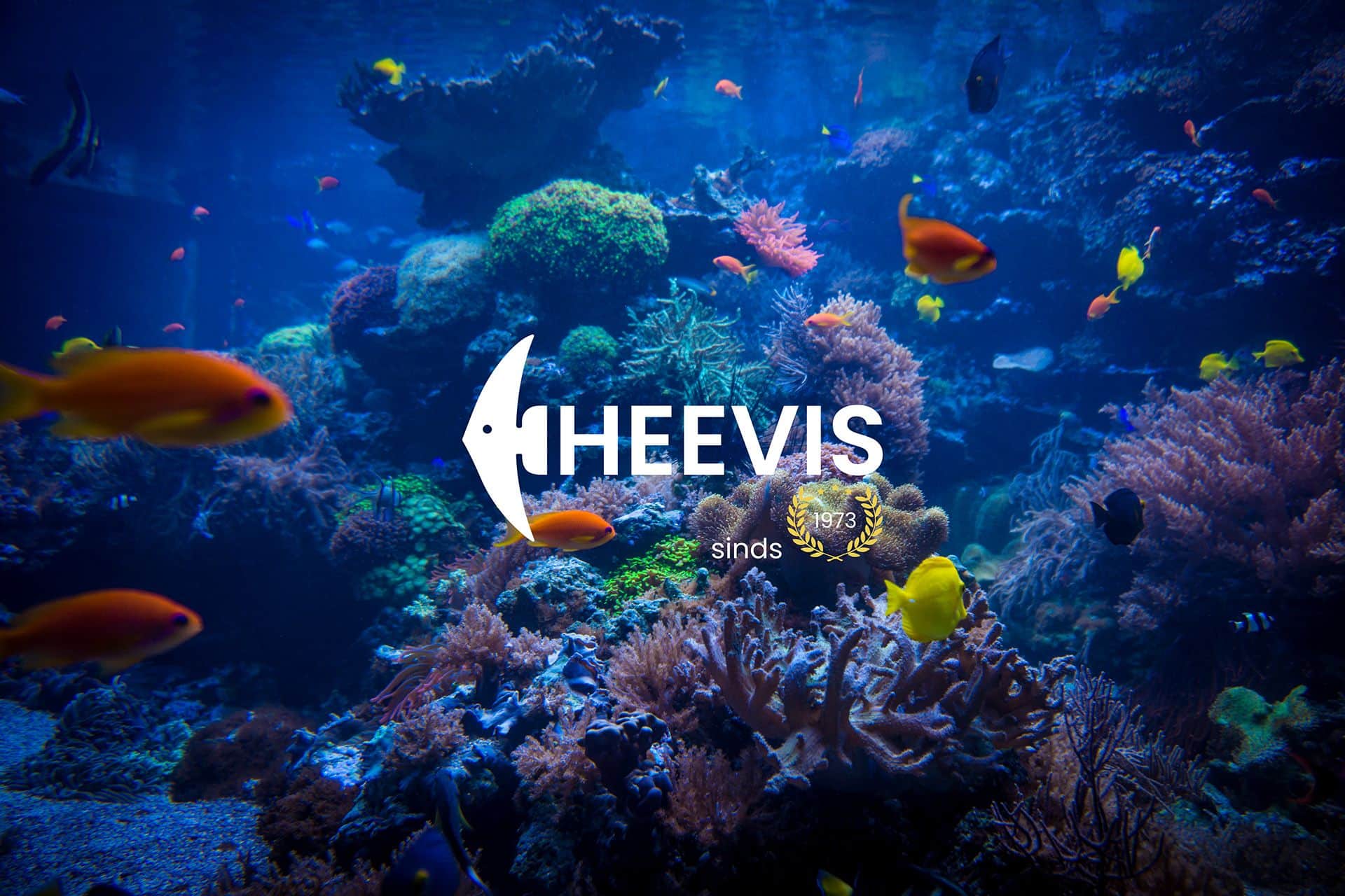 Heevis