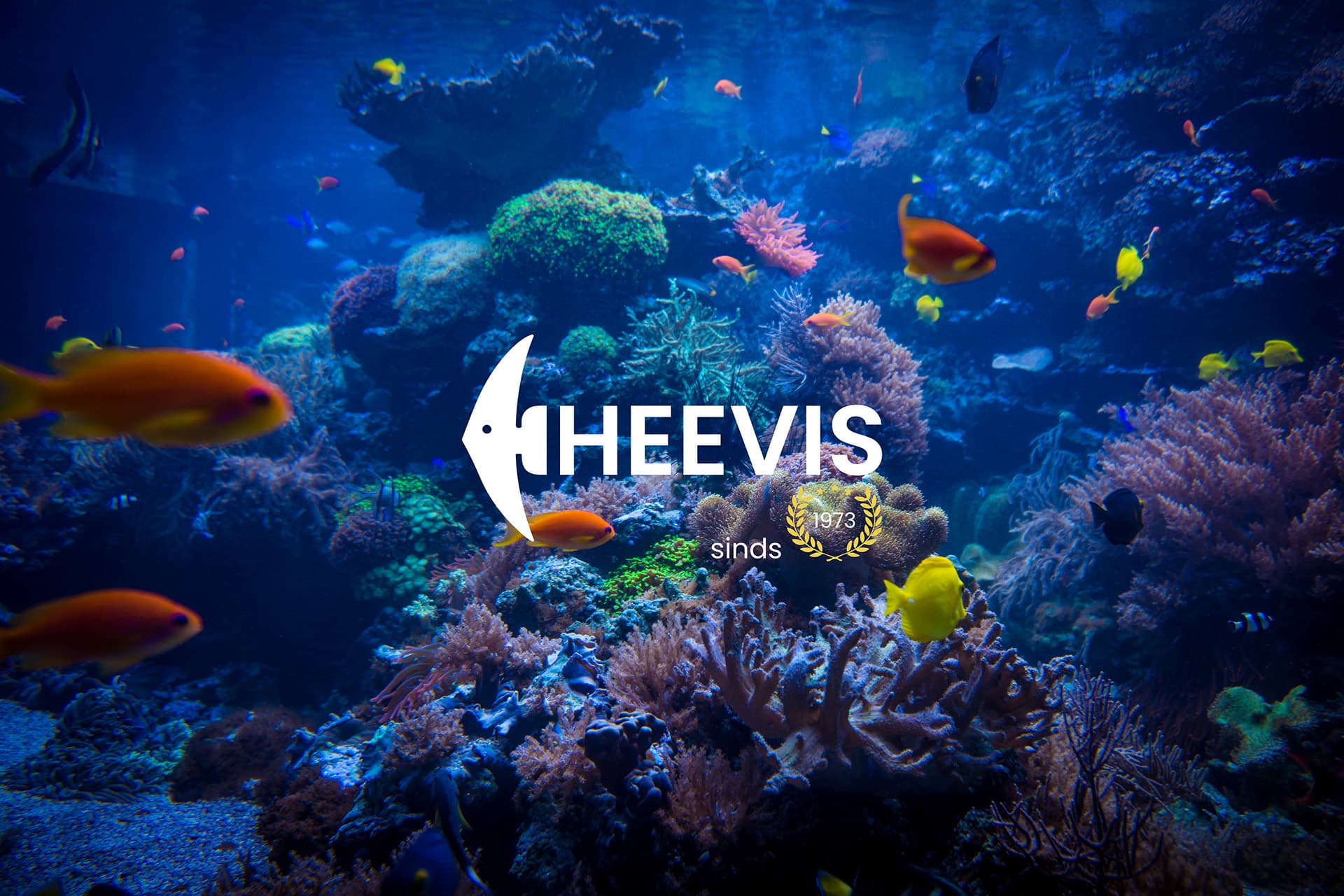 Heevis